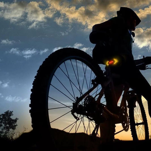 Flashing cycle light