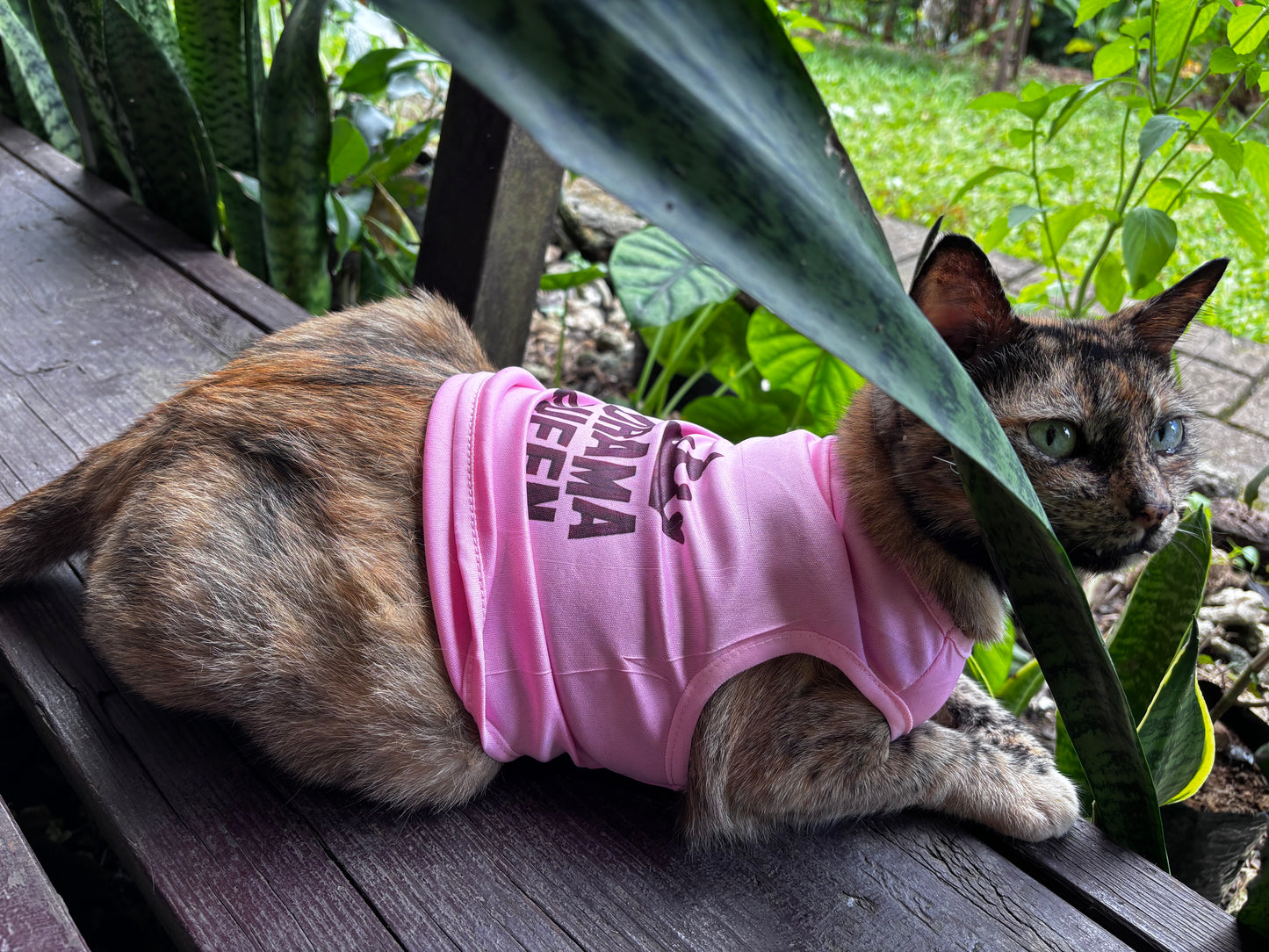 PET SHIRT